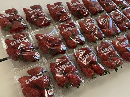 全スタッフに採れたて超特大ウマウマいちご🍓をプレゼント！